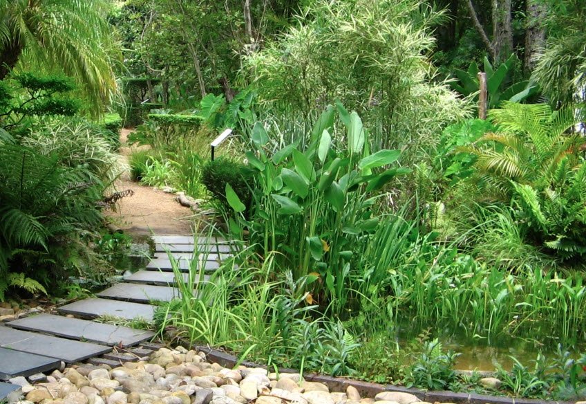Stellenbosch University Botanical Garden, South Africa